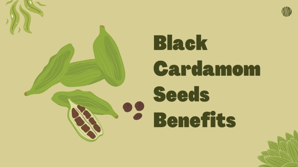 Black Cardamom Seeds Benefits